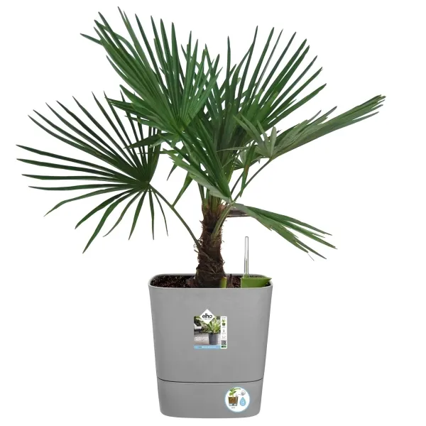 elho® Pflanzgefäß Greensense Aqua Care Quadrat Light Beton 38 cm - Kunststoff