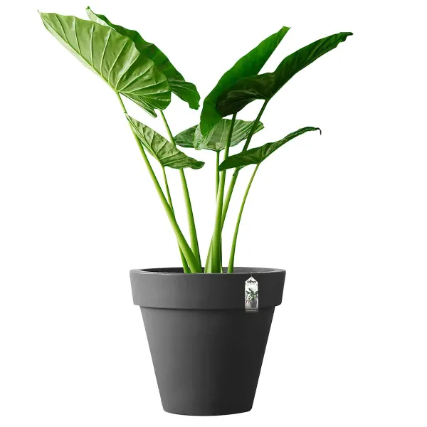 elho® Pure Round Pflanzgefäß Anthrazit Ø 39 cm - Kunststoff