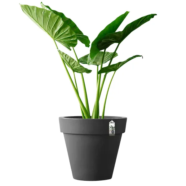 elho® Pure Round Pflanzgefäß Anthrazit Ø 59 cm - Kunststoff