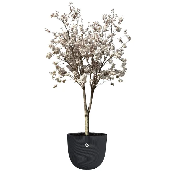 elho® Sereh Pflanzgefäß Anthrazit Ø 47 cm - Kunststoff