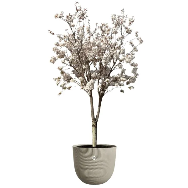 elho® Sereh Pflanzgefäß Mushroom beige Ø 47 cm - Kunststoff