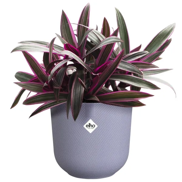 elho® Übertopf Jazz Lavendellila rund Ø 16 cm - Kunststoff