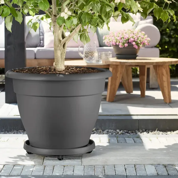 elho® Universal Rolluntersetzer Anthrazit Ø 35 cm - Kunststoff