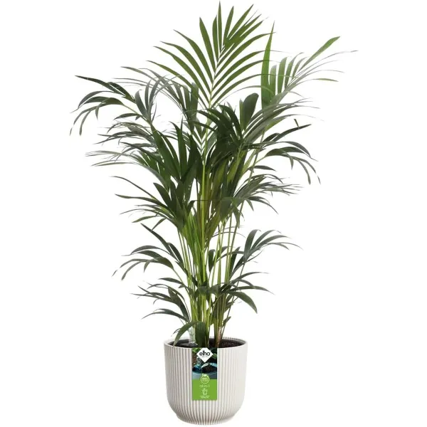 elho® Vibes Blumentopf all-in-1 Leinenweiß Ø 25 cm - Kunststoff