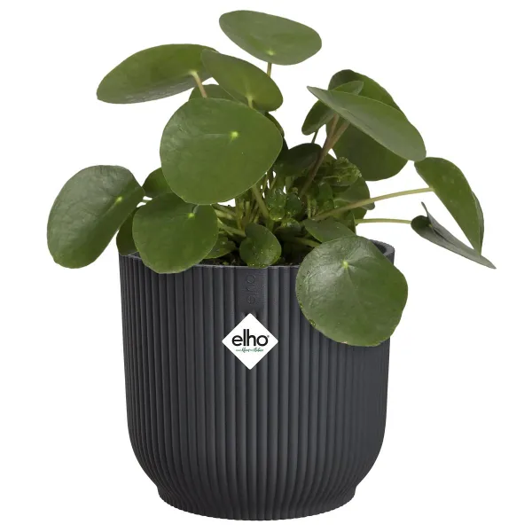 elho® Vibes Übertopf Fold Anthrazit Ø 14 cm - Kunststoff