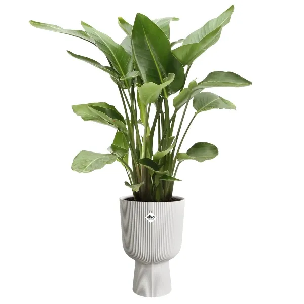 elho® Vibes Übertopf Fold Cup Seidenweiß Ø 30 cm - Kunststoff