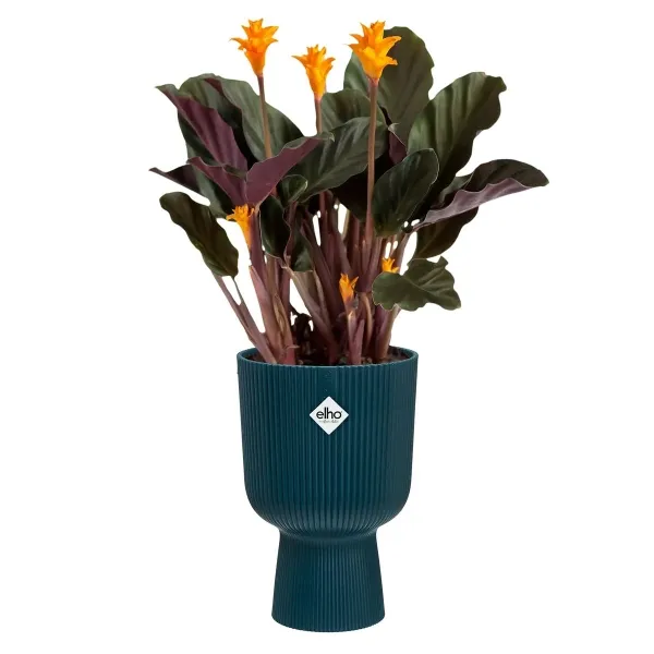 elho® Vibes Übertopf Fold Cup Tiefblau Ø 14 cm - Kunststoff