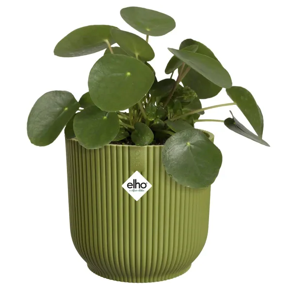elho® Vibes Übertopf Fold Olivgrün Ø 14 cm - Kunststoff