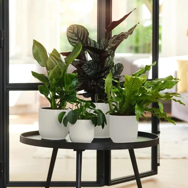 elho® Vibes Übertopf Fold Seidenweiß Ø 16 cm - Kunststoff