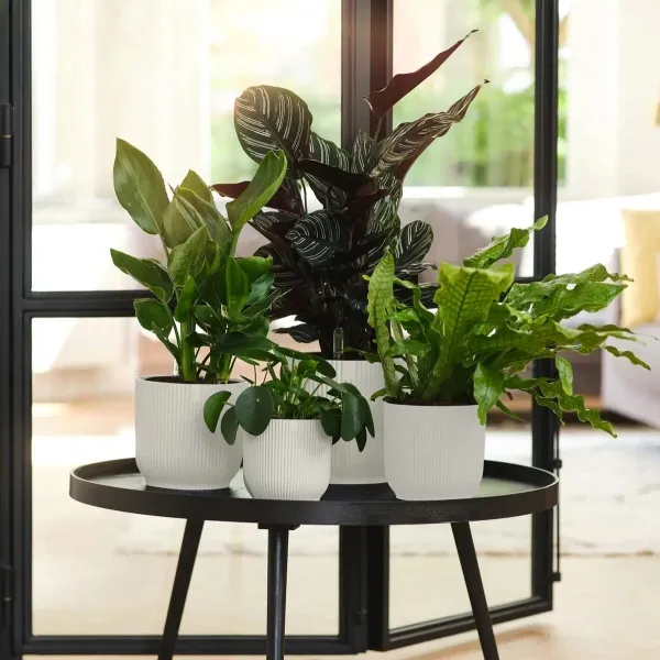 elho® Vibes Übertopf Fold Seidenweiß Ø 22 cm - Kunststoff