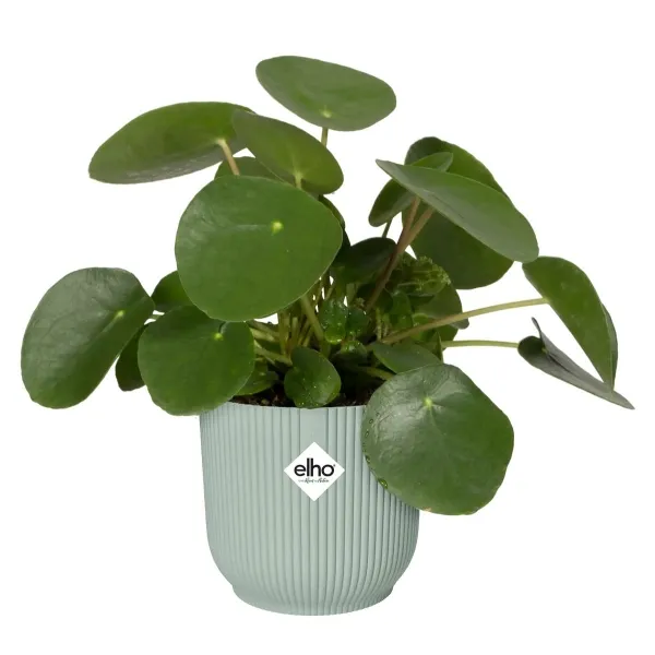 elho® Vibes Übertopf Fold Sorbet grün Ø 18 cm - Kunststoff