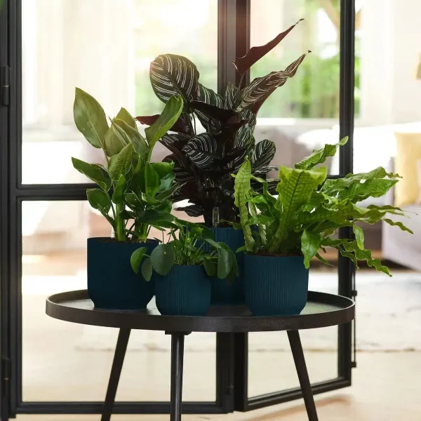 elho® Vibes Übertopf Tiefblau Ø 14cm - Kunststoff