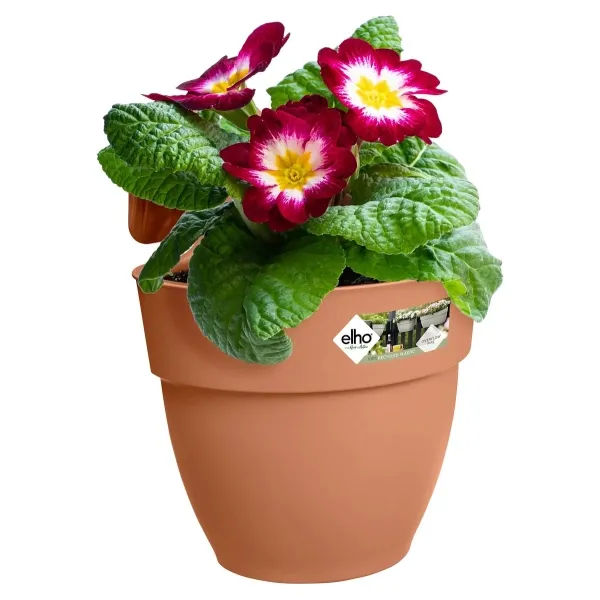 elho® Vibia campana easy Pflanzgefäß S Terracotta zum Einhängen - Kunststoff