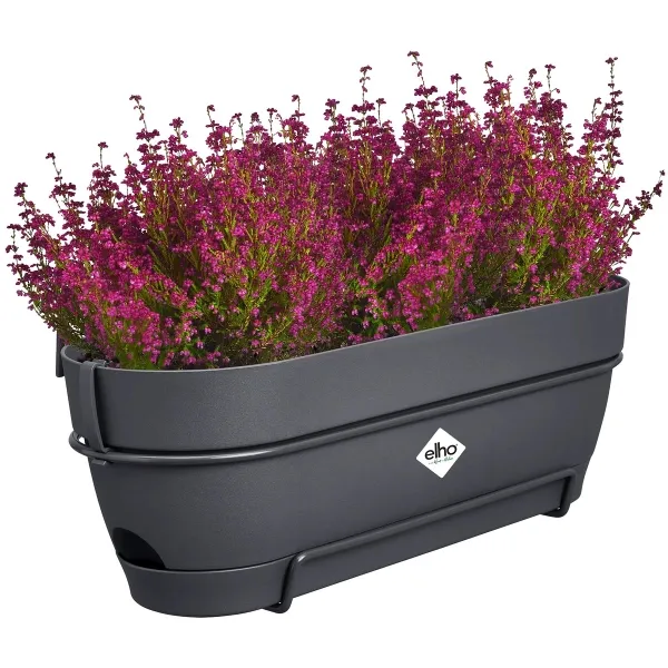 elho® Vibia campana Pflanzkasten Anthrazit 50 cm mit Halter allin1 - Kunststoff