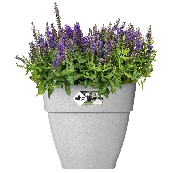 elho® Vibia campana quadrat Pflanzkübel Living Beton grau 37 cm - Kunststoff