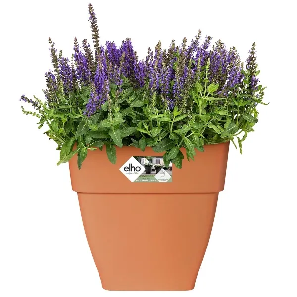elho® Vibia campana quadrat Pflanzkübel Terracotta 30 cm - Kunststoff