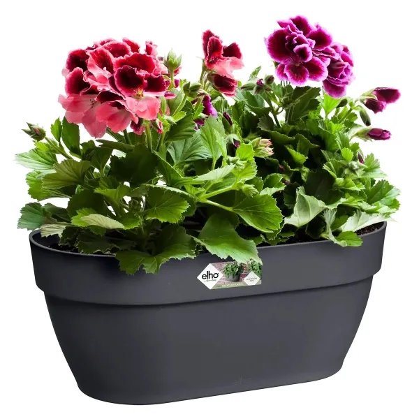 elho® Vibia campana Wandampel Anthrazit 35 cm - Kunststoff