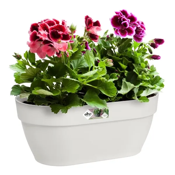 elho® Vibia campana Wandampel Seidenweiß 35 cm - Kunststoff