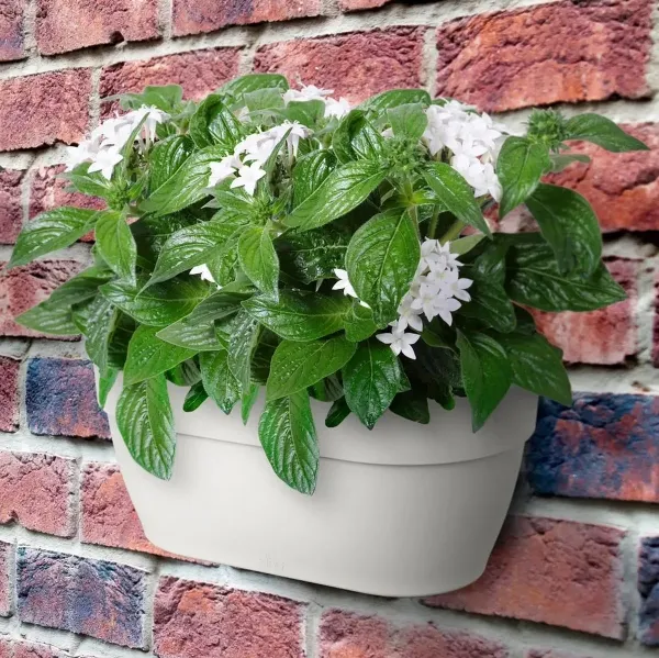 elho® Vibia campana Wandampel Seidenweiß 35 cm - Kunststoff