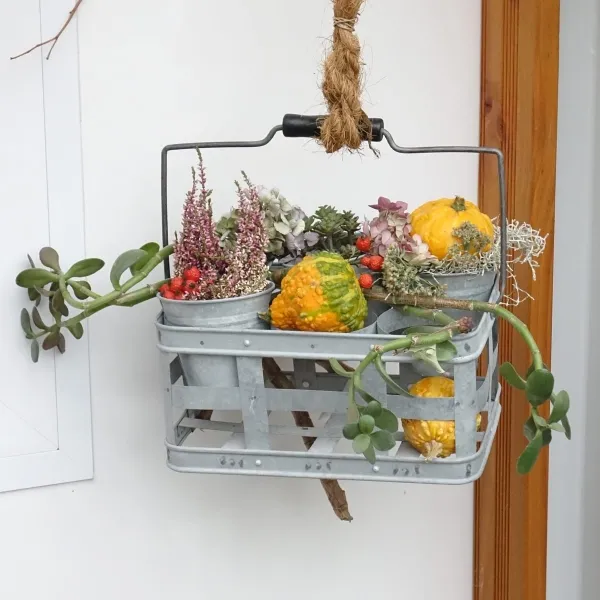 Esschert Design 6er Deko-Flaschenhalter verzinktes Metall mit Holzgriff