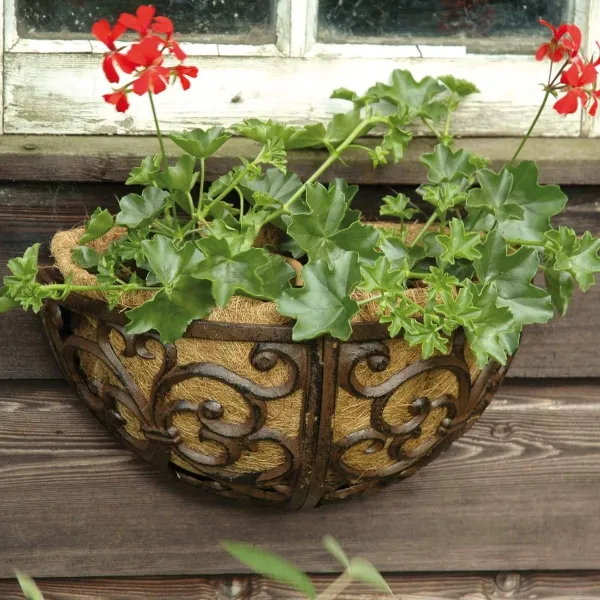 Esschert Design Dekorative Wandschale aus Gusseisen mit Kokoseinsatz
