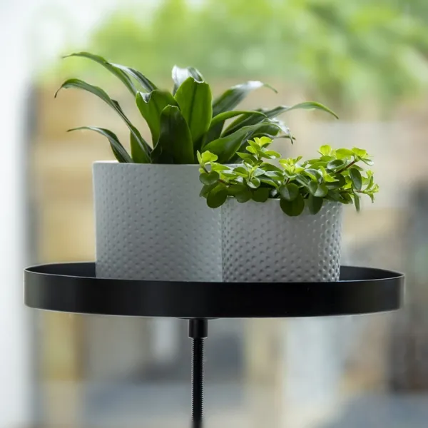 Esschert Design Fensterbankhalterung Schwarz L rund Ø 24 cm - Metall