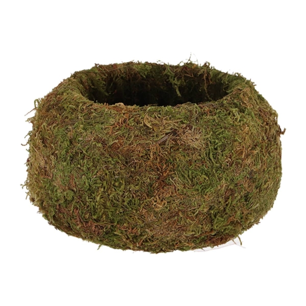 Esschert Design Kokedama Moos-Kugel L Ø 19,8 cm