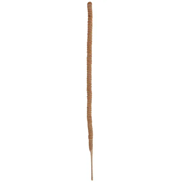 Esschert Design Kokos-Pflanzstab L flexibel ca. 120 cm