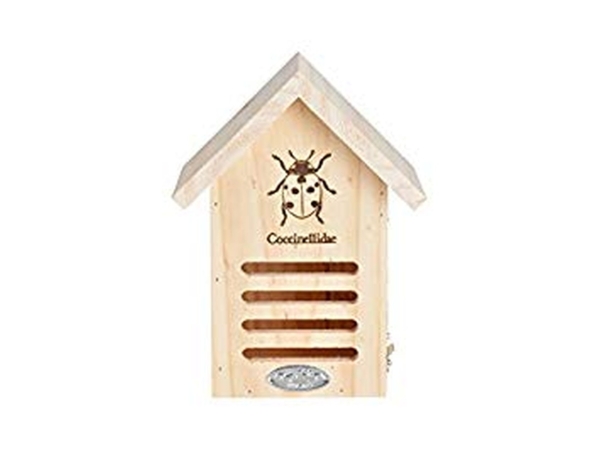 Esschert Design Marienkäferhaus - FSC® - Kiefernholz
