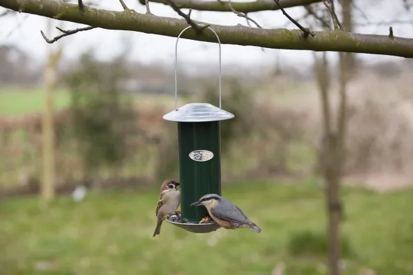 Esschert Design Vogelfuttersilo Grün 22,8 cm - Metall