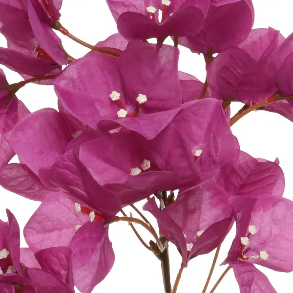 EVERLANDS Bougainvillea Pink & Weiß 100 cm - Kunstblumen