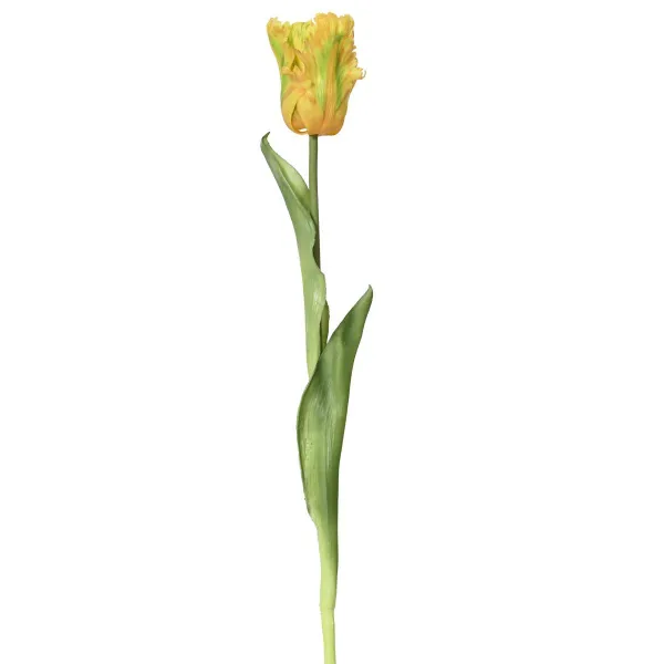 EVERLANDS Papagei-Tulpe Gelb & Grün Ø 6 cm 51 cm - Kunstblumen EVERLANDS Papagei-Tulpe Gelb & Grün Ø 6 cm 51 cm - Kunstblumen