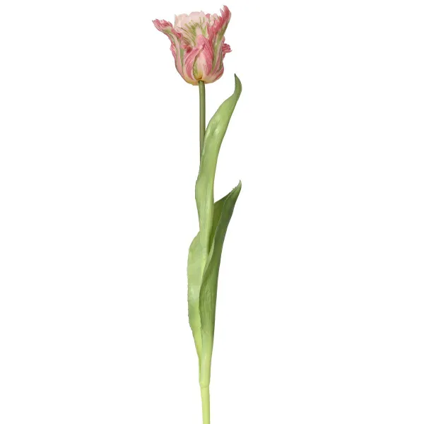 EVERLANDS Papagei-Tulpe Rosa & Grün Ø 6 cm 51 cm - Kunstblumen EVERLANDS Papagei-Tulpe Rosa & Grün Ø 6 cm 51 cm - Kunstblumen