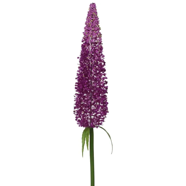 EVERLANDS Schmetterlingsflieder Violett Ø 7 cm 79 cm - Kunstblumen EVERLANDS Schmetterlingsflieder Violett Ø 7 cm 79 cm - Kunstblumen