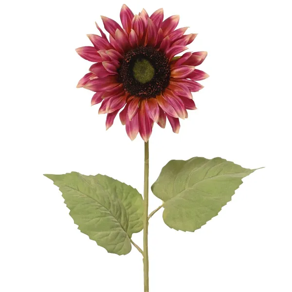 EVERLANDS Sonnenblume Harlekin Rosa & Creme Ø 16 cm 74 cm - Kunstblumen