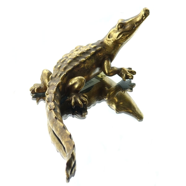 Exotica Cor Mulder Alligator Goldfarben - 22 cm