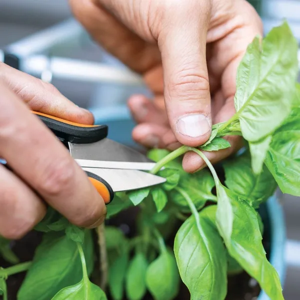 FISKARS® Solid™ Kräuterschere SP220