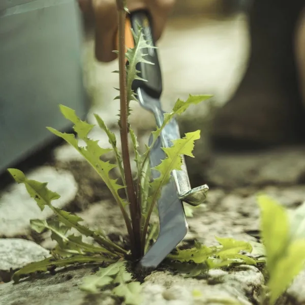 FISKARS® Xact™ Hand Fugenkratzer - 1027045