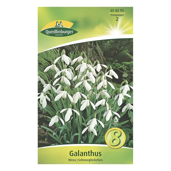Galanthus Weiss PREMIUM