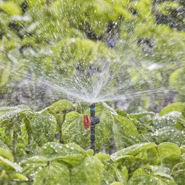 GARDENA® Micro-Drip-System 2.0 Sprühdüse 360 Grad - 5er Pack