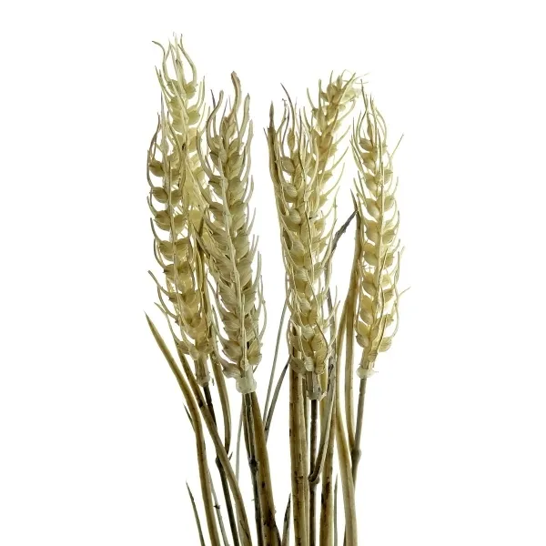 GASPER Ährenbund 42 cm creme - Kunstblumen GASPER Ährenbund 42 cm creme - Kunstblumen