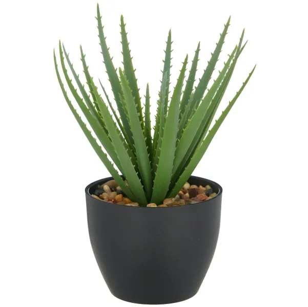GASPER Aloe Vera im Kunststofftopf mit Kies 20 cm, grün, 11 x 9 cm