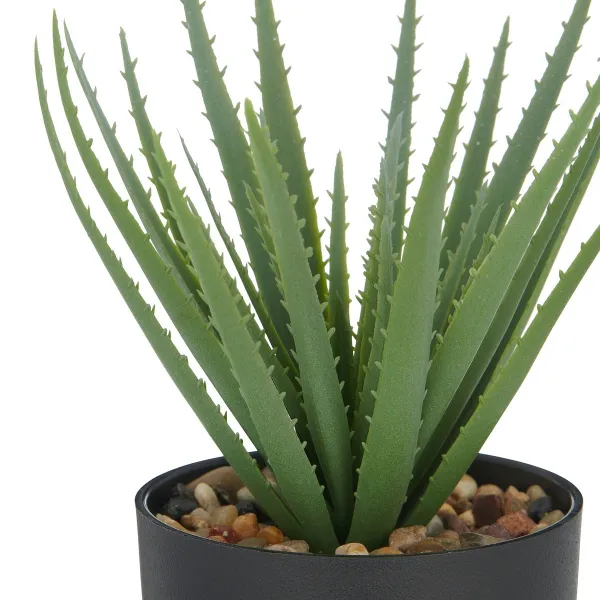 GASPER Aloe Vera im Kunststofftopf mit Kies 20 cm, grün, 11 x 9 cm