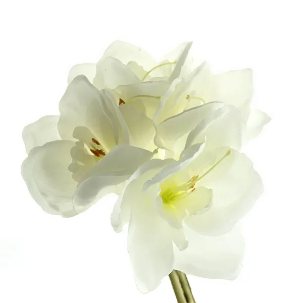 GASPER Amaryllis - Ritterstern Weiß 32 cm 3er Bund - Kunstblumen