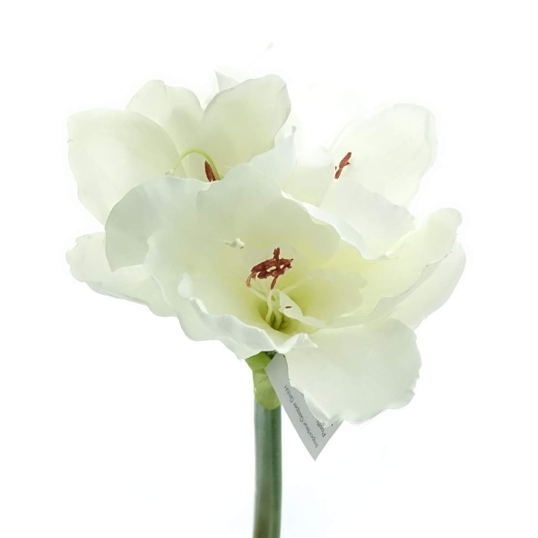 GASPER Amaryllis Weiß 66 cm - Kunstblumen