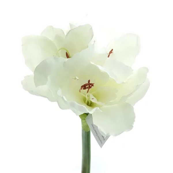 GASPER Amaryllis Weiß 66 cm - Kunstblumen GASPER Amaryllis Weiß 66 cm - Kunstblumen