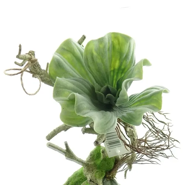 GASPER Anhänger Ast mit aufsitzender Sukkulente Grün 33 cm - Kunstpflanzen