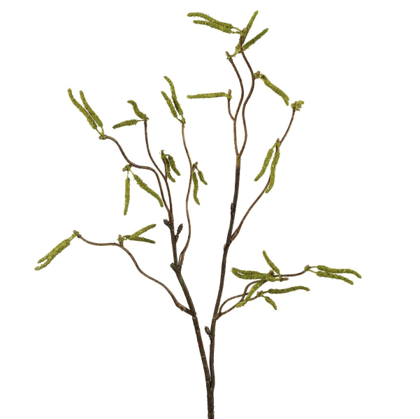 GASPER Birkenzweig, grün, 53 cm - Kunstpflanze