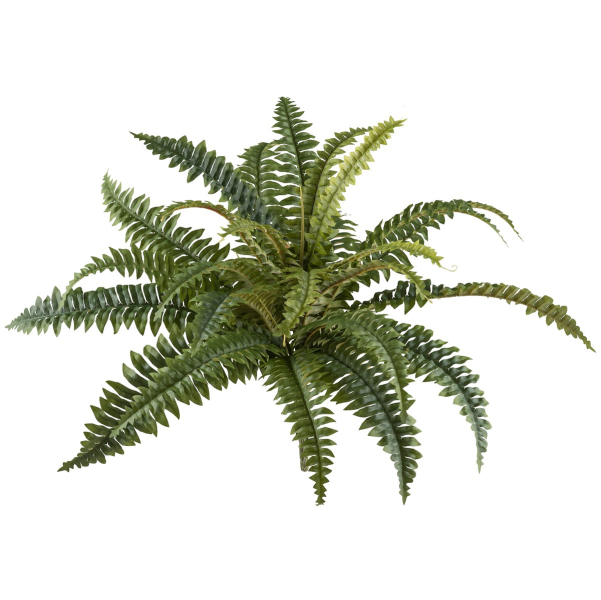 GASPER Schwertfarn Boston-Nephrolepis Grün Ø 60 cm - Kunstpflanzen