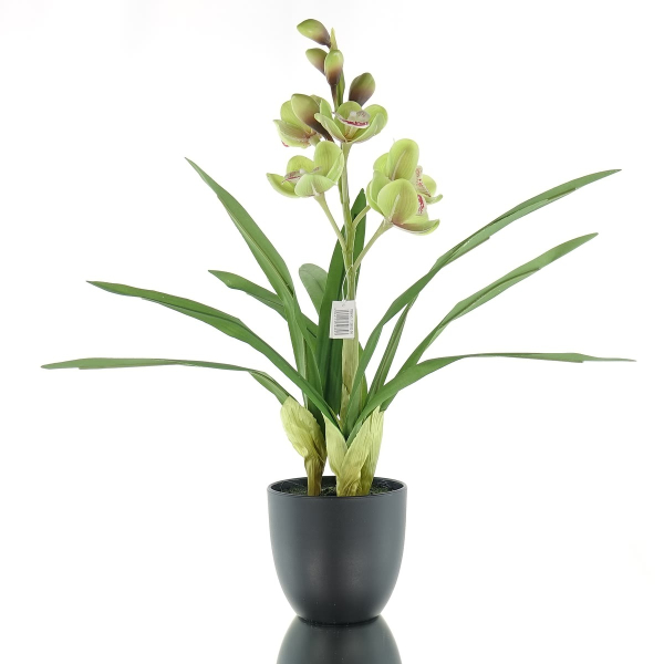 GASPER Cymbidie schwarzer Topf Ø 11,5 cm Grün 46 cm - Kunstpflanzen
